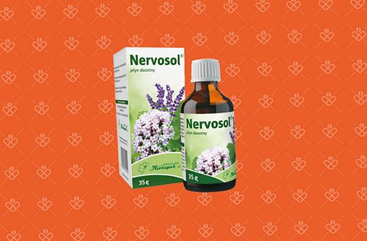 Aromactiv Baby Żel 20 g