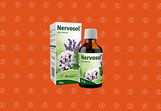 Bambino Oliwka dla dzieci i niemowląt 150 ml